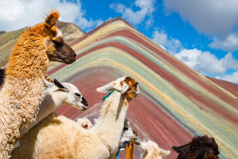 Ab Cusco: 8-tägige Tour nach Machu Picchu und zum RegenbogenbergFantastisches Cusco 8 Tage 7 Nächte