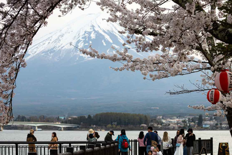 From Tokyo: Mt. Fuji Views Private Customize Itinerary Tour