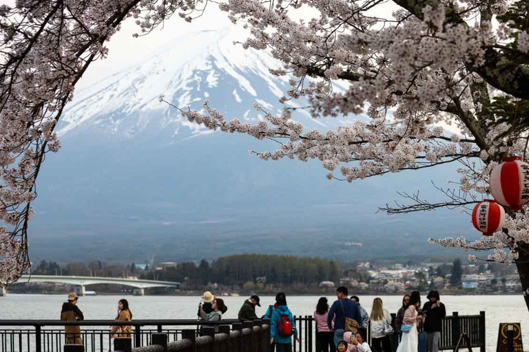 From Tokyo: Mt. Fuji Views Private Customize Itinerary Tour