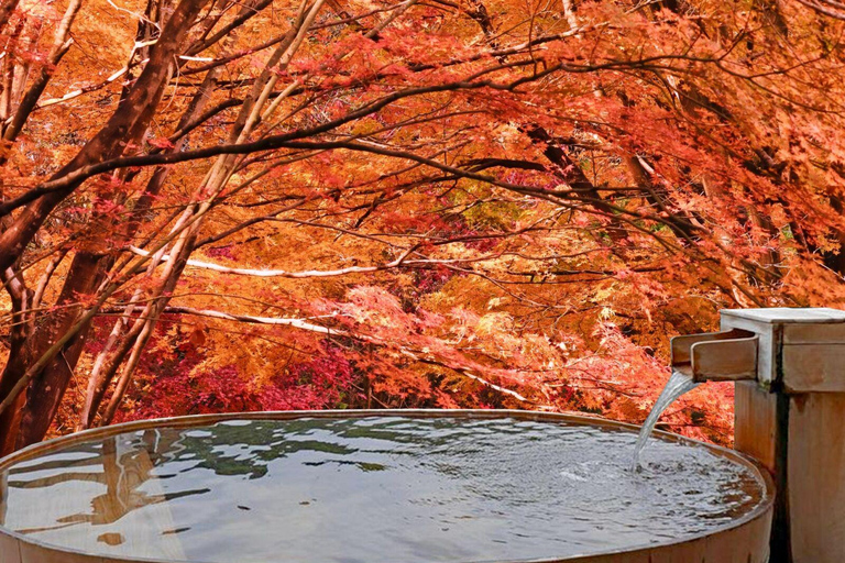 Hokkaido Jozankei Autumn Tour by Private Car & Driver-Guide Alphard Max 5 pax