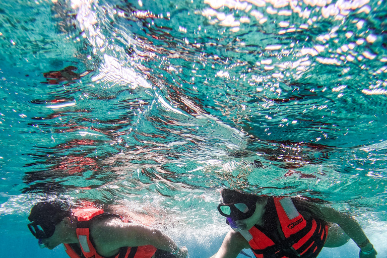 Tulum: Snorkeling at Paradise Reef