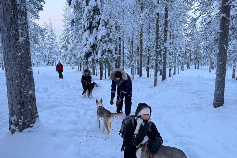 Äkäslompolo: Husky Trail Walk, Walk 1:1 with Your Own Husky Meet at the meeting point in Äkäslompolo