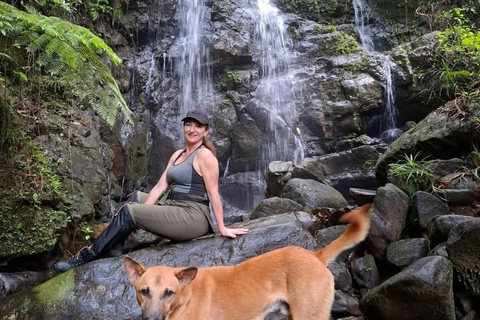 6 Hour Sinharaja Rainforest Tour