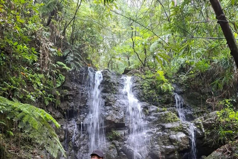 6 Hour Sinharaja Rainforest Tour