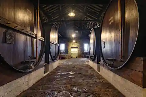 Porto: Visita às Caves de Vinho do Porto e Prova de Vinhos na Fonseca