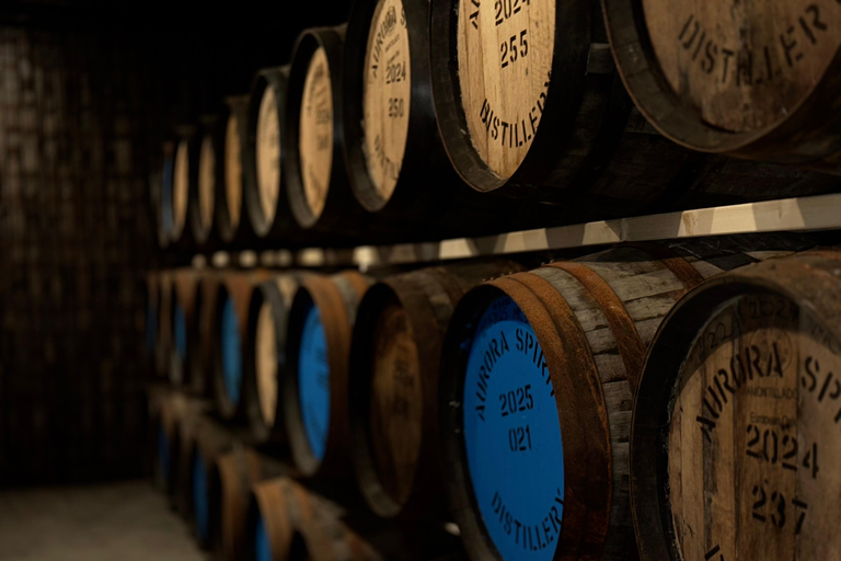 Tromsø: Local Whisky Tasting Experience