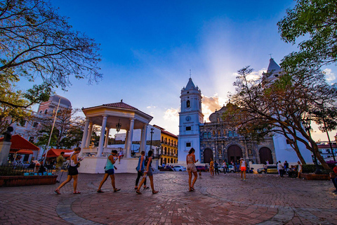 Private Miraflores canal locks and Casco Viejo walking Tour