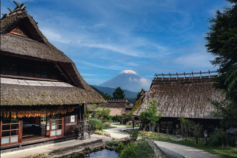 Tokyo: Mt Fuji Full-Day Private Tour of Top Best Places