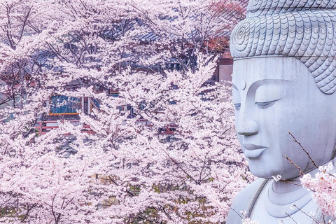 Nara: descubra un gigantesco Buda de piedra en las colinas boscosasNara: descubre un gigantesco Buda de piedra en las colinas boscosas
