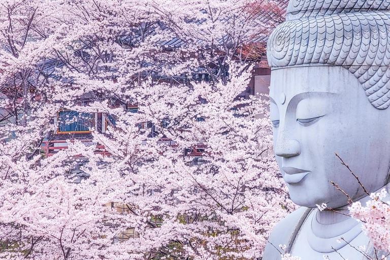 Nara: descubra un gigantesco Buda de piedra en las colinas boscosasNara: descubre un gigantesco Buda de piedra en las colinas boscosas