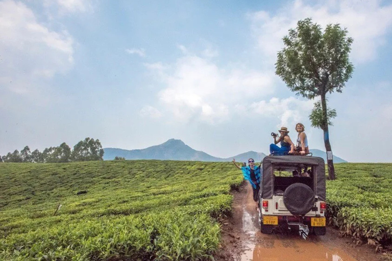 Kerala: 4-Day Honeymoon Tour with Treehouse Stay