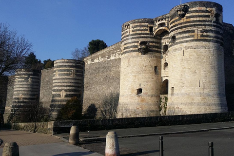 Besichtigung des Château d&#039;Angers und Weinprobe