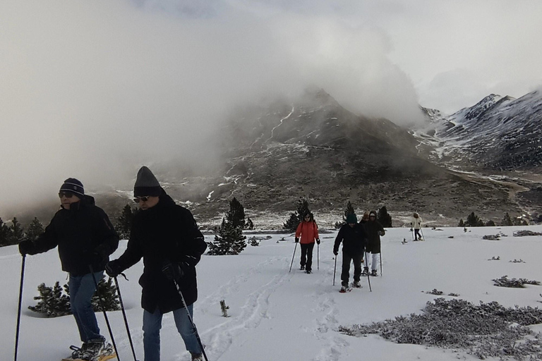 La Cerdanya: Snowshoe hike to the peaks of the Pyrenees