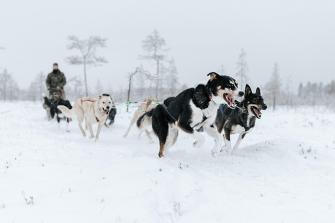 Rovaniemi: Santa Claus Village, Husky & Reindeer Tour