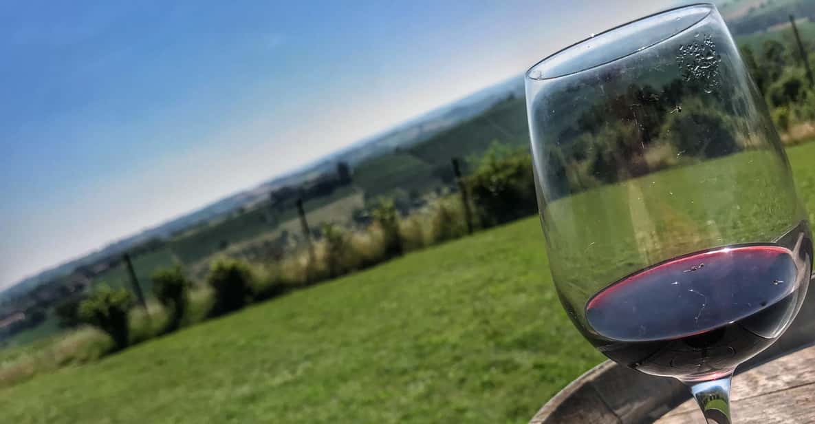 Afbeelding 10 van Monferrato: begeleide tour met MTB E-Bike om de wijngaarden te ontdekken