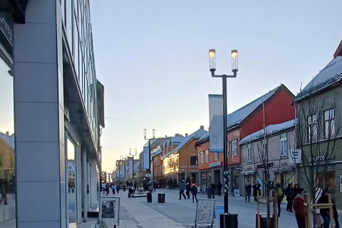 Tromsø City Walking Tour with Sámi History & Mythology