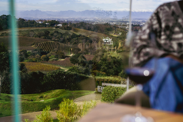 Jardín Botánico Kirstenbosch y Valle del Vino de Constantia