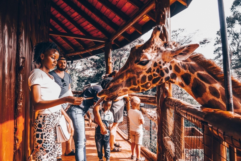 Nairobi : visite du musée national, du centre des girafes et du centre des perles