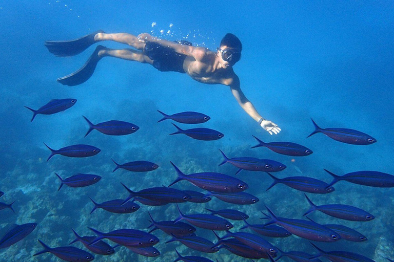 Phuket: Dagsutflykt till Koh Rok och Koh Ha (bästa av marinparken)