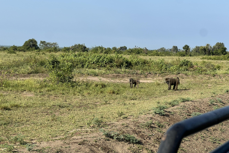 Kasese: 3 Day Queen Elizabeth Classic Safari & Boat Safari