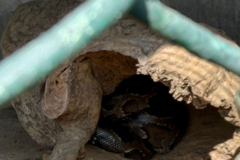 Pokhara:Zoological Park & Lake Suspension Bridge Guided Tour