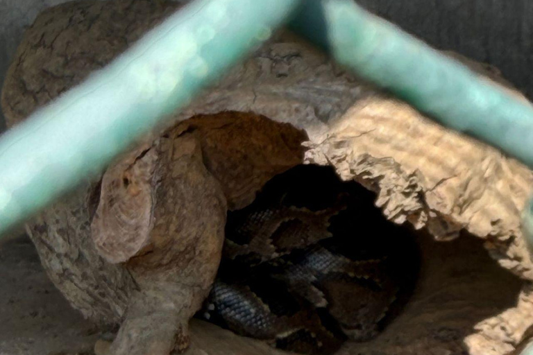 Pokhara:Zoological Park & Lake Suspension Bridge Guided Tour