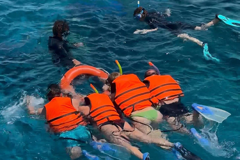 Sharm El Sheikh: Ras Mohamed & White Island Snorkeling trip