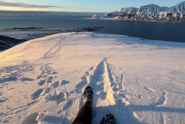 Longyearbyen: escursione al sole di mezzanotte e visita al Svalbard Global Seed Vault