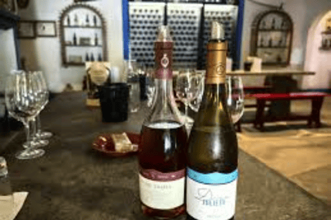 Reguengos de Monsaraz: José de Sousa Winery Tour and Tasting Reguengos de Monsaraz: José de Sousa Winery Tour and Tasting