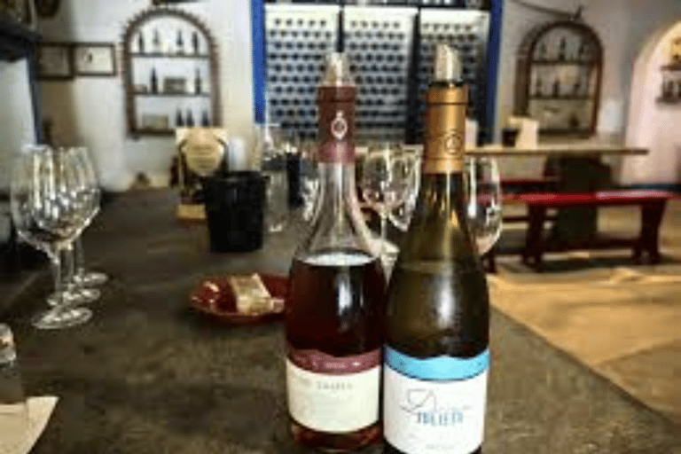 Reguengos de Monsaraz: José de Sousa Winery Tour and Tasting Reguengos de Monsaraz: José de Sousa Winery Tour and Tasting