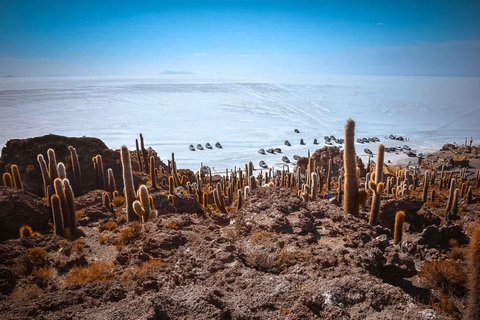 San Pedro de Atacama: 4-Day Uyuni Salt Flats Tour
