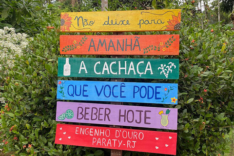 Short Jeep Tour – Pedra Branca, Tobogã & Nature