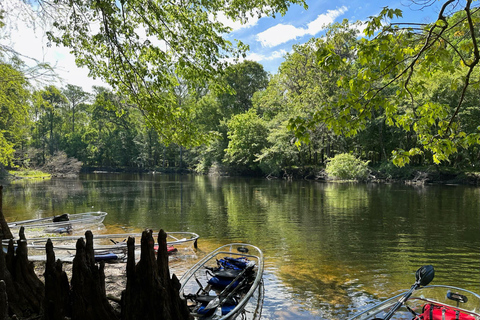 Gilchrist Blue: Clear Kayak Eco Tour