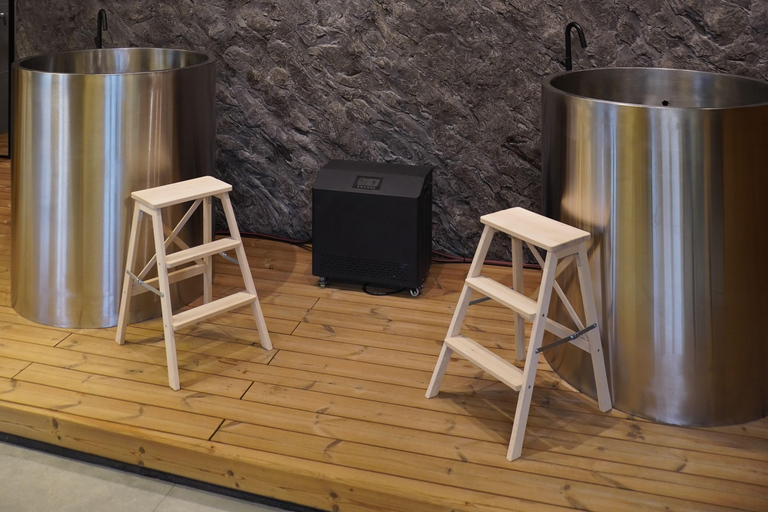 Finnish Sauna and Cold Plunge Experience in Belgrade