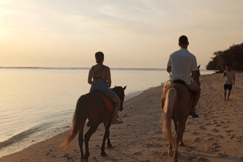 Gili Trawangan: Horse Riding on the Beach 1 Hour