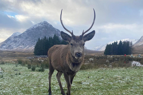 From Glasgow: Glenfinnan, Fort William & Glencoe Day Tour