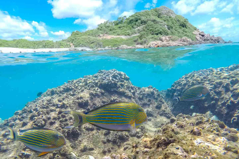Colombo: 3-Day Trincomalee Beach & Whale Watching Tour