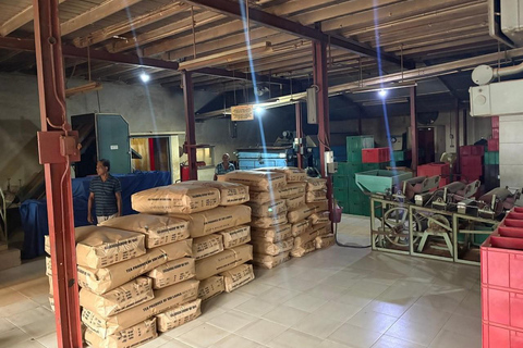 Tea Factory Tour with Tea Tasting , Pickup and Drop off