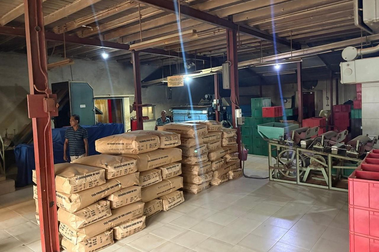 Tea Factory Tour with Tea Tasting , Pickup and Drop off