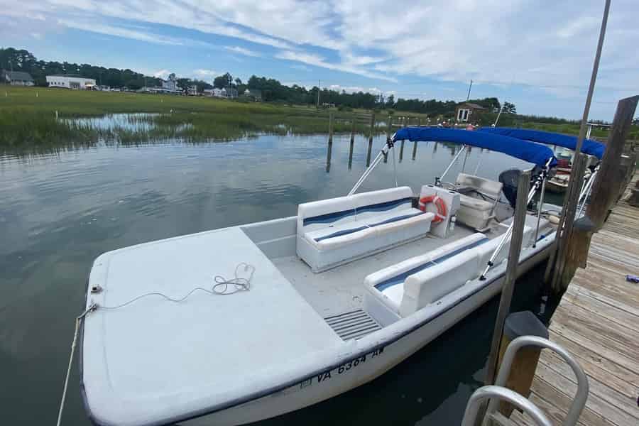 Chincoteague: Wilde Ponys – Bootstour mit Kapitän Randy. Foto: GetYourGuide Chincoteague: Wilde Ponys – Bootstour mit Kapitän Randy. Foto: GetYourGuide