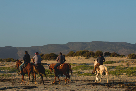 Accra: Horse Riding Experiencer Near Coastal Areas