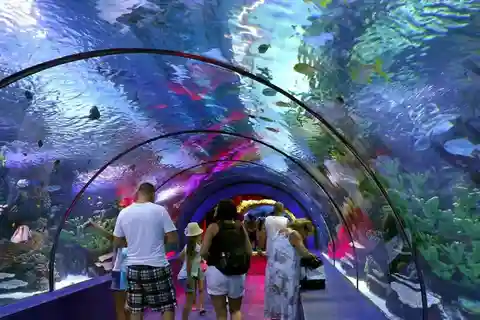 From Antalya/Side/Alanya: Antalya Aquarium Transfer Service