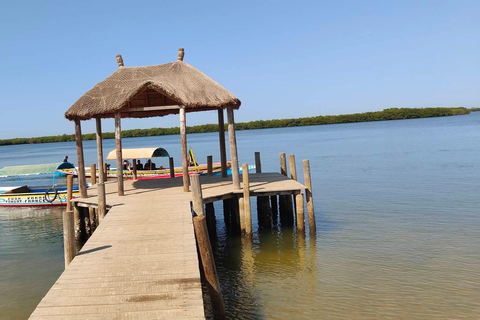 Sine Saloum Day Tour: Mangroves, Islands, and Authentic Villages Sine Saloum by dugout canoe: mangroves, Bird Island, and Mar Lodj