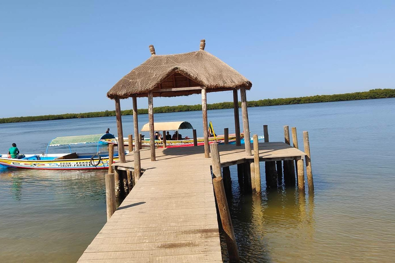 Sine Saloum Day Tour: Mangroves, Islands, and Authentic Villages Sine Saloum by dugout canoe: mangroves, Bird Island, and Mar Lodj