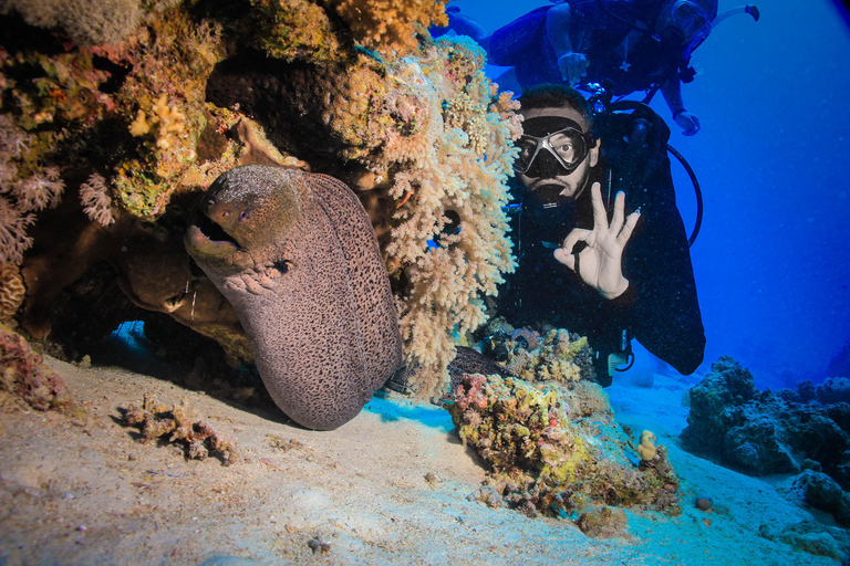 Hurghada: Due immersioni subacquee a Hurghada con escursione in barca di un&#039;intera giornataGruppo o famiglia Fino a 20 persone