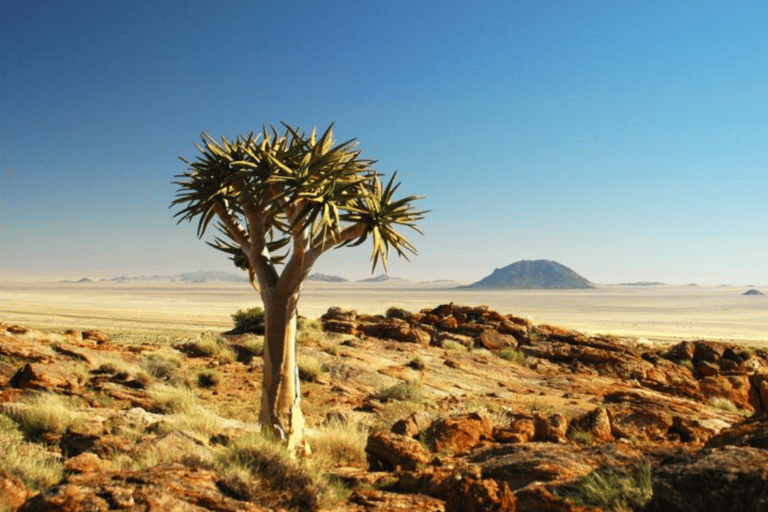 2-Day Inverdoorn Safari – Big Five Cape Town Experience