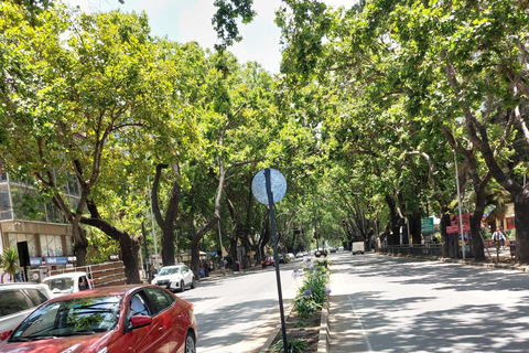 Viña del Mar: Car tour with pick-up, local guide, and iconic viewpoints