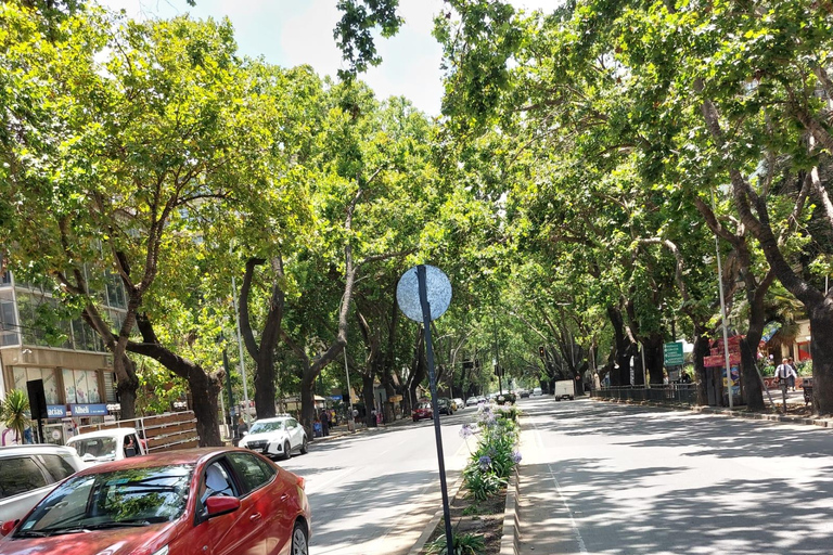 Viña del Mar: Car tour with pick-up, local guide, and iconic viewpoints