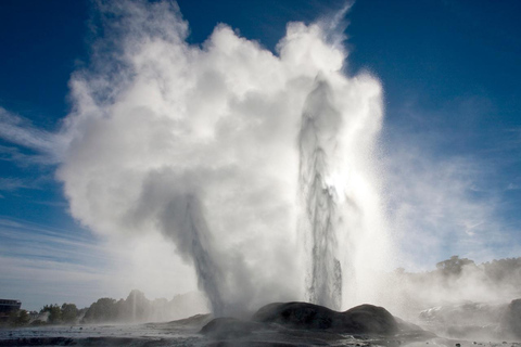 From Auckland:Rotorua Day Trip with Te Puia & Polynesian Spa