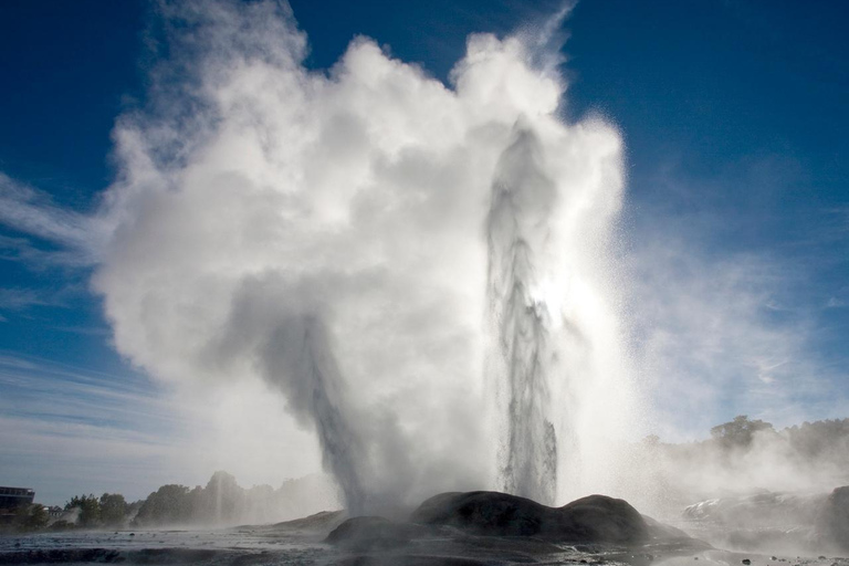 From Auckland:Rotorua Day Trip with Te Puia & Polynesian Spa